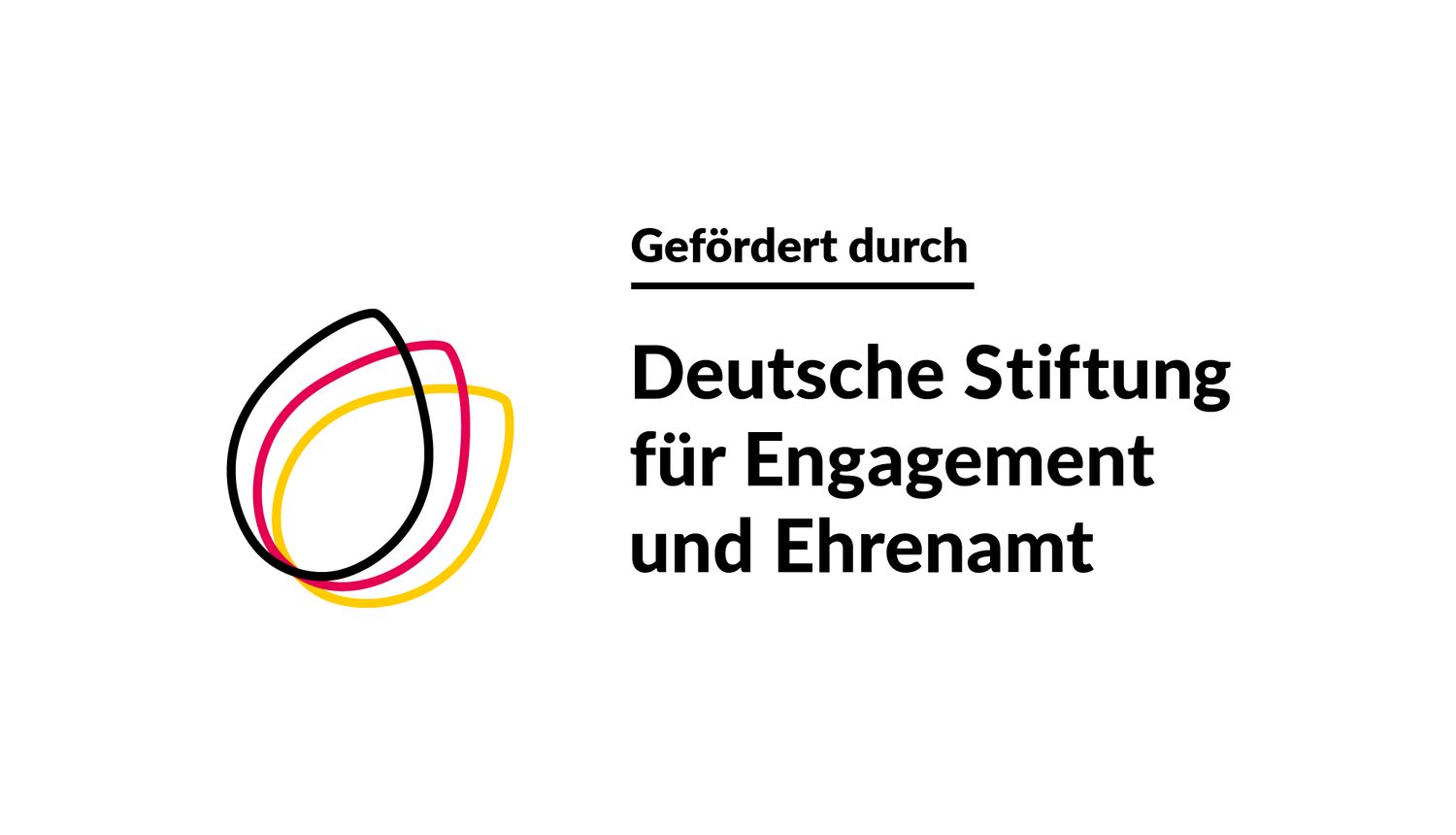 DSEE_Foederlogo